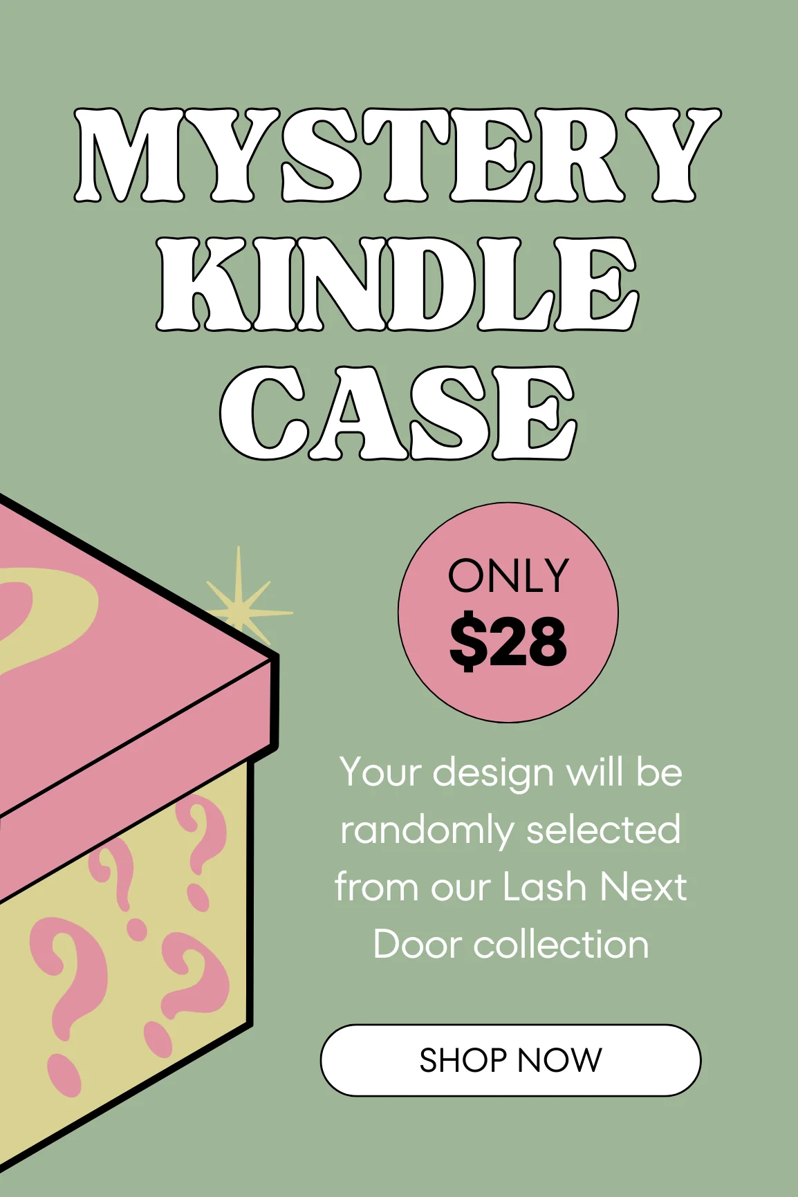 Mystery Kindle Case