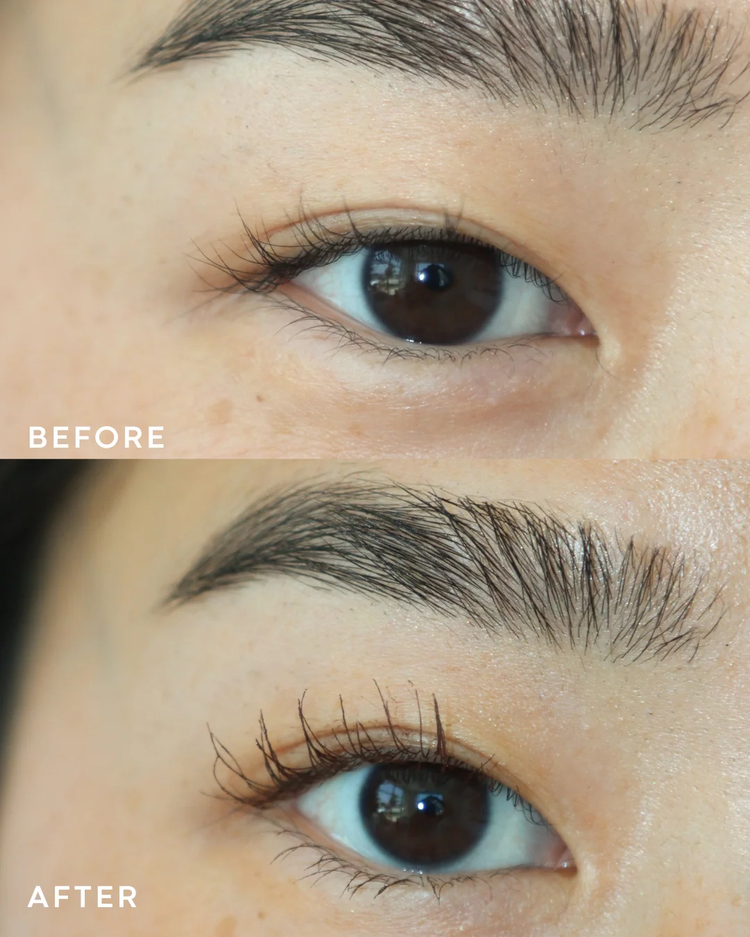 About Lash Night Bundle | Espresso - Image 7